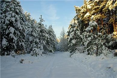 《灵魂骇客2》主要角色介绍 8月25日发售