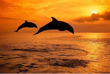 Fami通新一周销量榜 《纸片马里奥：千里之门》登顶